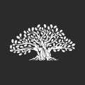 Huge and sacred oak tree silhouette logo badge isolated on dark background. Royalty Free Stock Photo