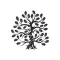 Huge and sacred oak tree silhouette logo badge isolated on white background. Royalty Free Stock Photo