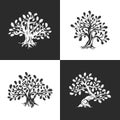 Huge and sacred oak tree silhouette logo isolated on background.