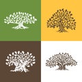 Huge and sacred oak tree silhouette logo isolated on background.