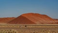 Huge sand dunes in the Namib Desert Royalty Free Stock Photo