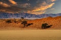 huge sand dunes in the Namib Desert Royalty Free Stock Photo