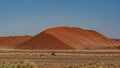 Huge sand dunes in the Namib Desert with Oryx antelope Royalty Free Stock Photo