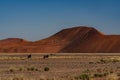 Huge sand dunes in the Namib Desert with Oryx Royalty Free Stock Photo