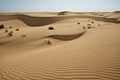 Huge dunes of the desert. Growth of deserts on Earth