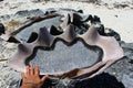 Huge sea shells used for salt production, Sawu island, Indonesia Royalty Free Stock Photo