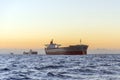 Huge ships at sea at sunset