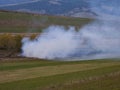 Huge smoke , spreading wildife, negligent people burning the potato stems Royalty Free Stock Photo