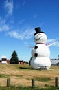 Huge snowman Royalty Free Stock Photo