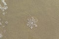 Huge sparkling snowflake on the sand in the sea foam. Concept of Winter and Christmas vacation on the beach and resort. Royalty Free Stock Photo