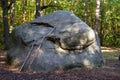 A huge split stone in the forest