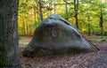 A huge split stone in the forest