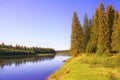 A sunny morning on the banks of a Siberian taiga river