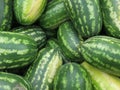 Huge stack of green striped water melons Royalty Free Stock Photo