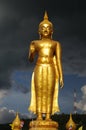 Standing Golden Buddha