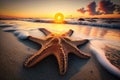 Huge starfish on the beach with a wide angle view