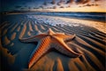 Huge starfish on the beach with a wide angle view