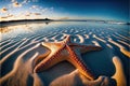 Huge starfish on the beach with a wide angle view