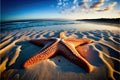 Huge starfish on the beach with a wide angle view