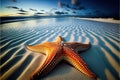 Huge starfish on the beach with a wide angle view