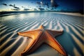 Huge starfish on the beach with a wide angle view