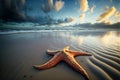 Huge starfish on the beach with a wide angle view