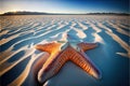 Huge starfish on the beach with a wide angle view