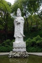 A huge statue of Guanyin Royalty Free Stock Photo