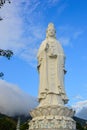 Huge statue of Guanyin Buddha