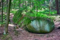 A huge stone in the forest, naturally covered with green moss.