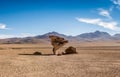 Huge stones in Bolivian desert