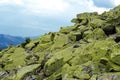 Crest of the mountain range with stone placers covered with green lichens and slopes with spruce forest in Carpathian Mountains at Royalty Free Stock Photo