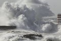 Huge stormy wave splash Royalty Free Stock Photo