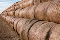 Huge straw pile of Hay roll bales on among harvested field. cattle bedding