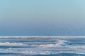 Huge swarm of seabirds meeting at an icehole after sunset for rest at the frozen baltic sea Royalty Free Stock Photo