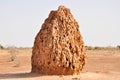Huge Termite Cathedral in the desert