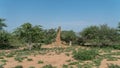 Huge termite mound in Africa, South Ethiopia, Omo valley Royalty Free Stock Photo