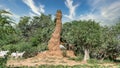 Huge termite mound in Africa, South Ethiopia, Omo valley Royalty Free Stock Photo