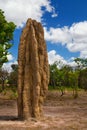 Giant termite mound in Australia Royalty Free Stock Photo