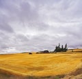 Huge thundercloud field after harvesting. Royalty Free Stock Photo