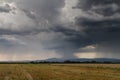 Huge thundercloud over a wheat field Royalty Free Stock Photo