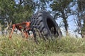 Huge tractor tires propped up in the weeds and long grass