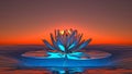 huge translucent water lily in the sea at sunset