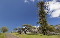 Huge trees and country house Bingie (near Morua). Australia