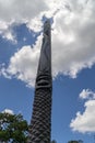 Huge typical new caledonian wooden totem.