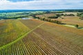 Vineyard on Mornington Peninsula - aerial view.