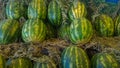 Huge watermelons in the fresh fruit market Royalty Free Stock Photo