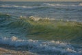 Huge wave backlit from the sun. Rough sea