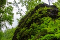 Huge wet stone rock overgrown with plants in summer mountain forest with foliar trees in Gaucasus, Mezmay