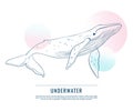 Huge whale with contrast circles doodle art. Vector advrtising sketch. Humpback with blue abstract shapes graphic concept